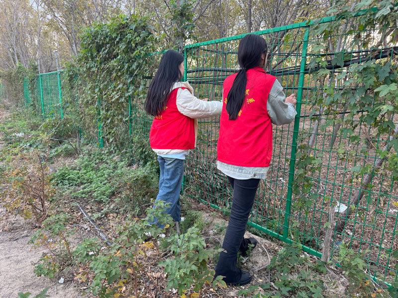 微信图片_20241105170625.jpg 微信图片_20241105170625.jpg