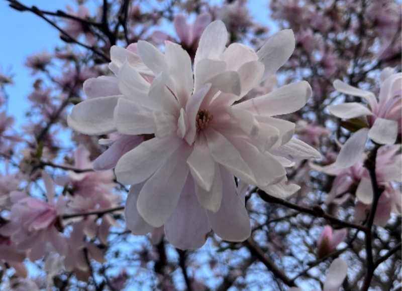 照片_副本.jpg 照片_副本.jpg