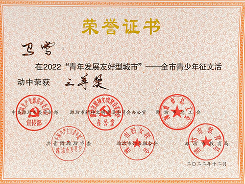 证书扫描件2022青年发展友好型城市全市青少年征文评比活动优秀组织单位及获奖名单表彰_页面_12.jpg